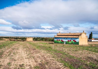 Palomares en Tierra de Campos // Luis Mendia